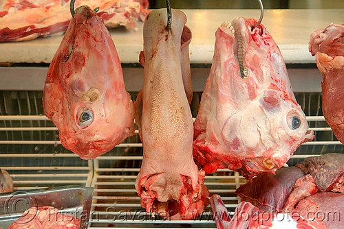 skinned goat heads and tongue, chevon, goat heads, goat meat, goat tongue, halal meat, hanging, hooks, meat market, meat shop, mutton, raw meat