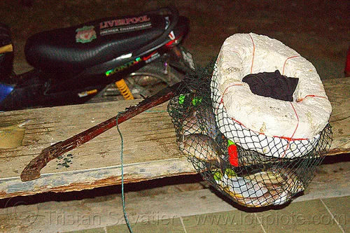 speargun and fisherman's catch in floating net, borneo, fish hunting, fishes, kelambu beach, malaysia, night, snorkeling, speargun, stryrofoam