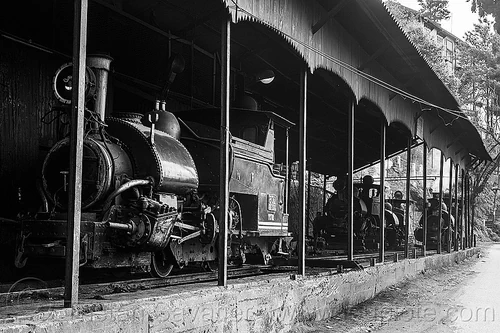 steam locomotives - darjeeling himalayan railway train yard (india), 782 mountaineer, 788 tusker, 802 victor, 804 queen of the hills, darjeeling himalayan railway, darjeeling toy train, narrow gauge, railroad, steam engine, steam locomotive, steam train engine, train depot, train yard