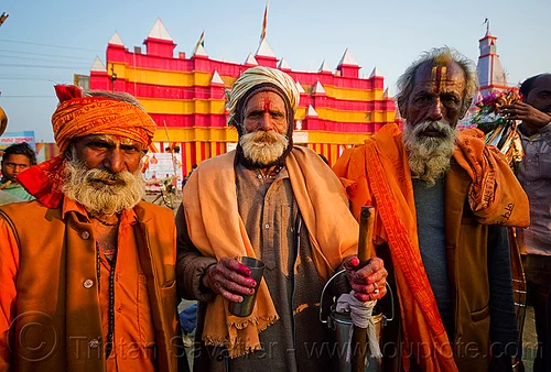 three old hindu pilgrims - kumbh mela 2013 (india), ashram, bhagwa, hindu pilgrimage, hinduism, kumbh mela, old men, pilgrims, saffron color, tilak, tilaka, white beard