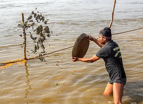 throwing clay shiva lingams in ganges river (india), clay, ganga, ganges river, hindu ceremony, hindu pilgrimage, hinduism, kumbh mela, lingams, man, offerings, river bank, shiva linga, shiva lingam, shivling, throwing, tray, wading