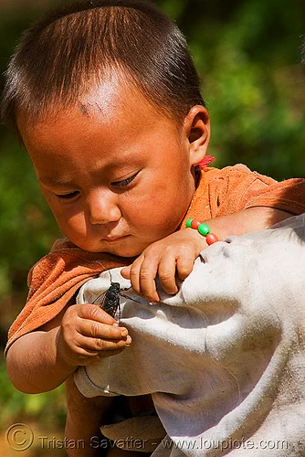 toddler playing with live cicada (laos), child, cicada, hintang archaeological park, hintang houamuang, insect, kid, san kong phanh, toddler