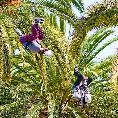 Zip-Line over San Francisco