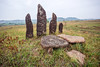 Khasi Megaliths - Memorial Stones (India)