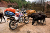 Honda XR 250 (Touring Laos)