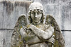 Recoleta cemetery (Buenos Aires)