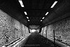 Petite Ceinture (an abandoned railway line in Paris)