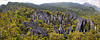 Trek to Mulu Pinnacles (Borneo)