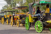 horse carriages parked, draft horses, draught horse, horse carriages, indonesia, jogja, parked, yogyakarta